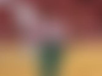 Duarte Silva triunfa na Praça de Málaga