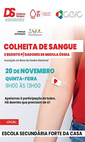 Colheita 20nov25-2.jpg