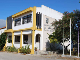 Soluções procuram-se para a Adega de Arruda