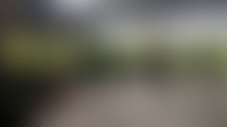 Sindicato suspende greve na recolha de lixo de Vila Franca