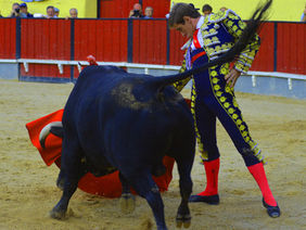 Assembleia chumba projecto para proibir touradas