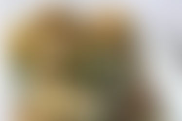 Campanha gastronómica de Novembro junta 33 restaurantes