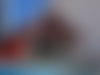 Pombos antecipam-se às obras de reabilitação