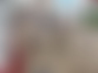 Feira de Maio de Azambuja tem novidades