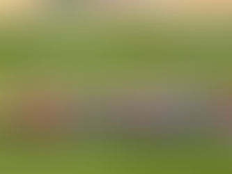 Tribunal “devolve” 3 pontos ao Futebol Clube Alverca