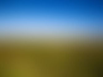 Câmara quer comprar antigas salinas de Alverca