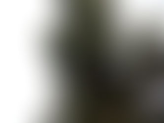 Depressão provoca quedas de árvores e estruturas