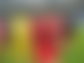 Vilafranquense regressa às vitórias e às boas exibições