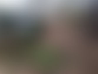 Alenquer pede declaração de Estado de Calamidade no concelho