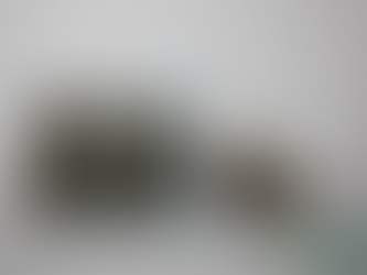 Detido em Vila Franca com 10 mil doses de haxixe