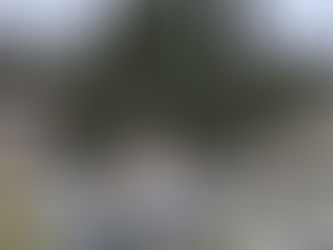 Vila Franca estima prejuízos de mais de 15 milhões