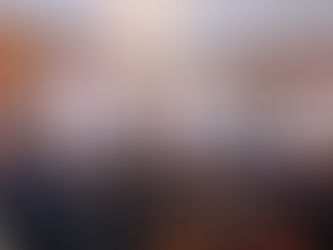 Arruda dinamiza assembleias municipais jovens