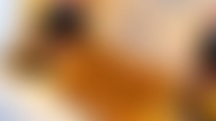 Arruda e Sobral lançam novo “Pastel de Wellington”