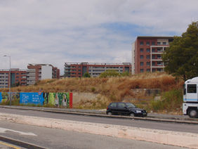 Proposta de alterações na Malva Rosa gera dúvidas