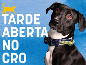 CRO de Vila Franca tem “tarde aberta” no sábado