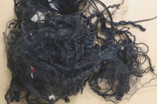 PJ faz apelo à população da Área Metropolitana de Lisboa