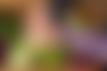 Curt’Arruda “projecta” 61 filmes em Arruda