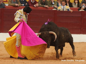 Tomás Bastos cortou orelha em Olivença
