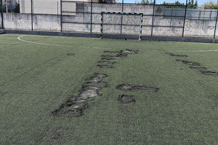 Polidesportivo de Alverca mais parece um campo de golfe