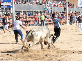 Largadas até sábado em Vila Franca de Xira