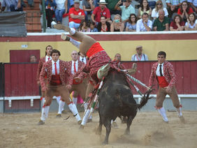 1800 reclamam apoio à tauromaquia