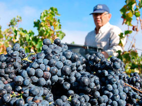 Prova compromete arranque de curso superior em Arruda