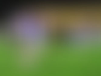 Alverca bate Oliveira do Hospital e já é segundo