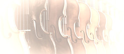 Violin%252520Shop_edited_edited_edited.j