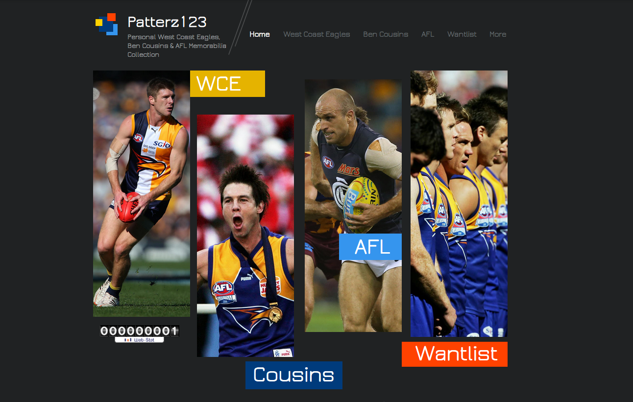 AFL Match Worn Guernseys