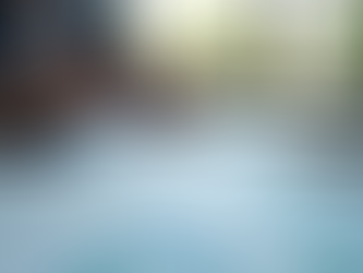 Professional Bookkeeping Solutions for Your Business