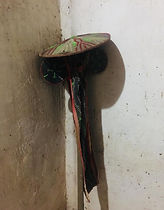 IMG-20190917-WA0113.jpg