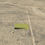 Thumbnail: Live Comfortably In Rio Rancho! Fantastic 1 Acre Parcel For Sale! Financing!
