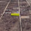 Thumbnail: The Builder Opportunity: 0.9 Acre Property for Sale! 0.9 Acre of Pure Potencial!