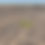 Thumbnail: Hurry! This 1 Acre Property Won't Last Long. Financing! Act now!