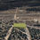 Thumbnail: 0.49 Acres of Pure Potential In Torrance County NM! $1,000 Down Payment!
