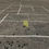 Thumbnail: Great Opportunity in Northern Rio rancho, NM! 0.5 Acre Lot For Sale!