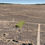Thumbnail: Own Your Own Acreage! Half Acre Property In Sandoval County, NM! Financing!!!