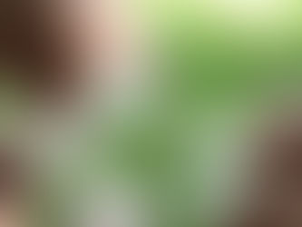 Key Challenges for Sustainable Medicine in 2025