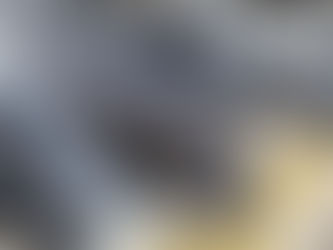 NEW Maize portfolio added...