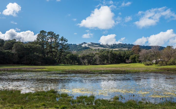 Dan Quinn Windy Hill and Frog Pond with clouds.jpg