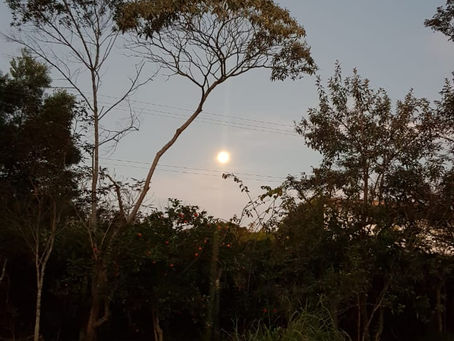 Um pouco sobre a magia da Lua Cheia