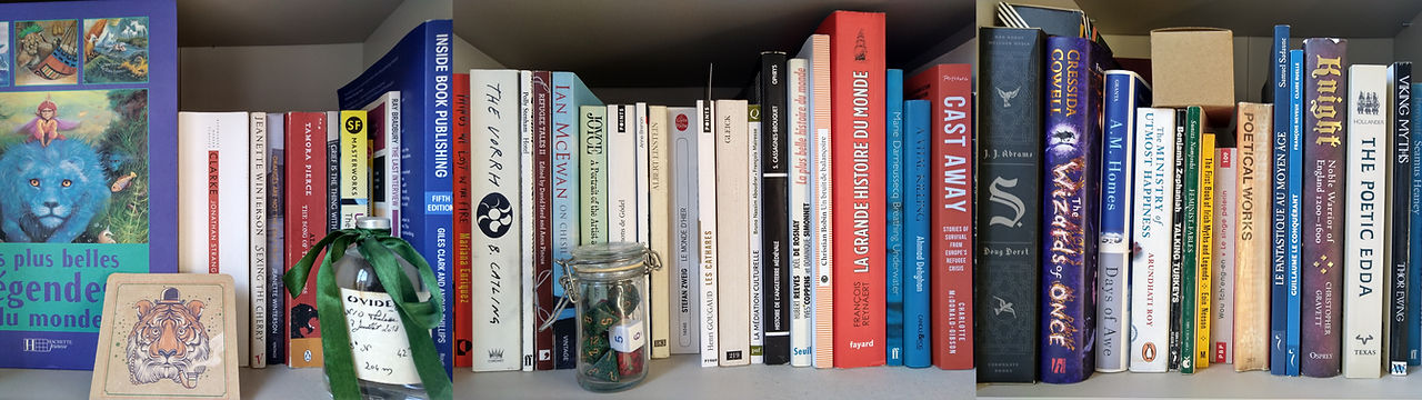 mybookshelf2.jpg