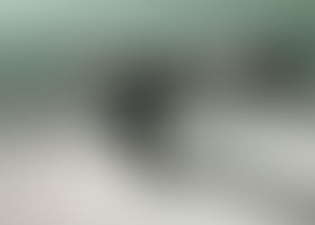 הטבת מס בגין הפרשות לפנסיה ולקרן השתלמות - נובמבר 2017