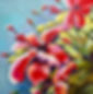 IMG_8402.jpeg