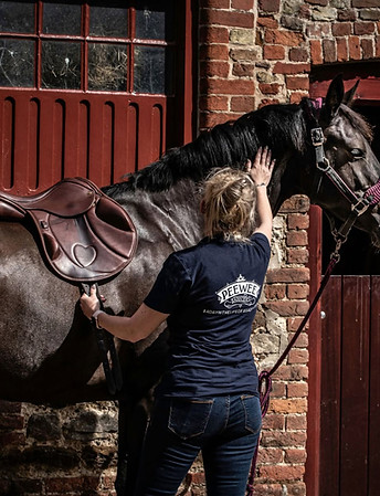 Peewee Saddlery.jpg