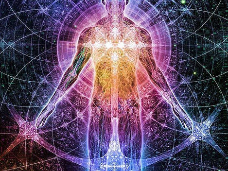 The Conscious Body 意識身體