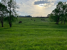 IMG_0977 farm 2022.jpg