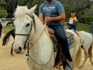 Cavalgada em Araquari - Passeio a cavalo do Rio do Morro