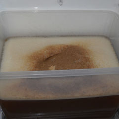 foto-26.jpg