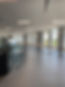 IMG_6962.jpeg